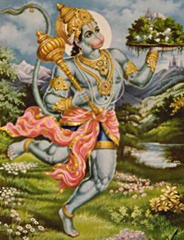 Hanuman fetches Healing Herbs