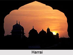 Harrai ,Madhya Pradesh