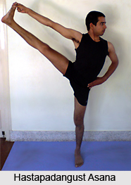 Hastapadangust Asana