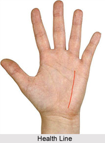 Health Line, Palmistry