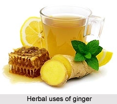 Herbal uses of Ginger