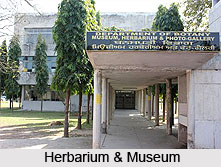 Herbarium & Museum, Chandigarh