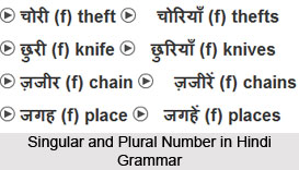 Hindi Grammar