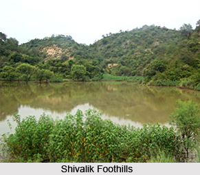 History of Hoshiarpur District