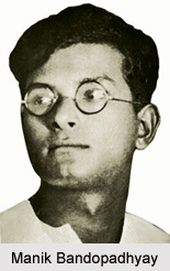 History of Indian Novels