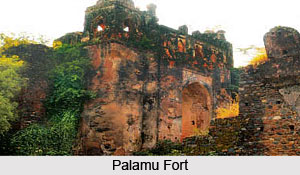 History of Palamu District