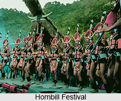 Hornbill Festival, Nagaland