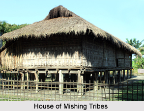Society of Mishing Tribes