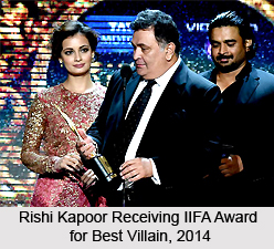IIFA Awards for Best Villain
