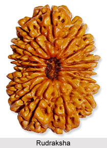 Identification of Rudraksha