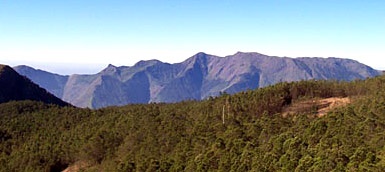 Flora and Fauna of Idukkii District