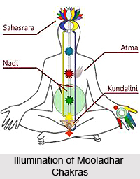 Illuminating Mooladhara Chakra