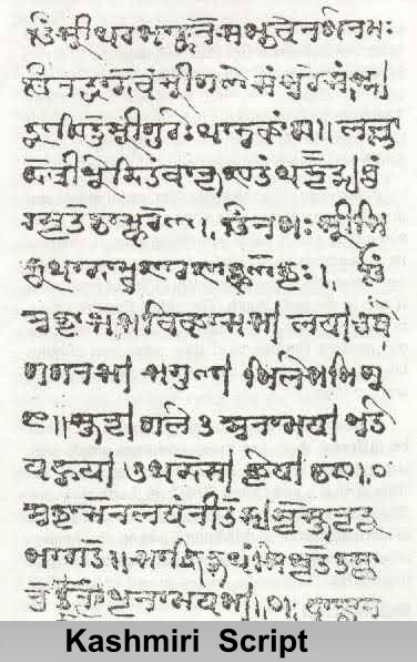 Indian Language Families