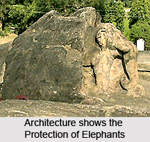 Indian Natural History in Mauryan Period