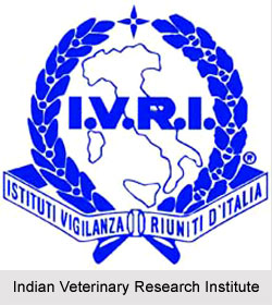 Indian Veterinary Research Institute, Uttar Pradesh
