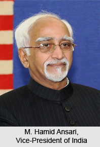 Indian Vice-President, Indian Executive