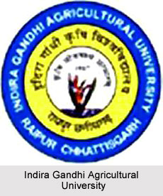 Indira Gandhi Agricultural University, Chhatisgarh