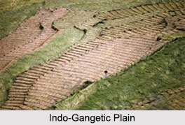Indo-Gangetic Plain