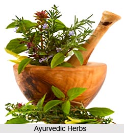Indriyas, Principles of Ayurveda