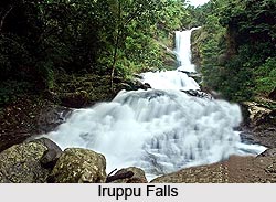 Iruppu Falls, Karnataka