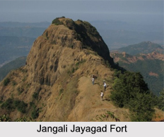 Jangali Jayagad Fort, Maharashtra