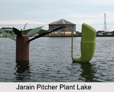 Jarain Pitcher Plant Lake, Meghalaya