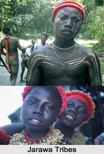 Jarawa Tribe, Andaman and Nicobar Island