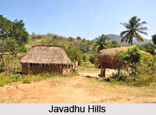 Javadhu Hills, Tiruvannamalai District, Tamil Nadu