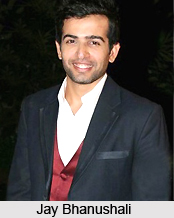 Jay Bhanushali, Indian TV Actor