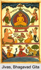 Jivas , Bhagavad Gita
