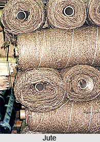 Jute and Mesta, Indian Fibre