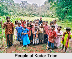 Kadar Tribe, Kerala