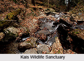 Kais Wildlife Sanctuary, Kullu District, Himachal Pradesh