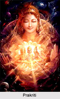 Kalansa, Sign Of Prakriti