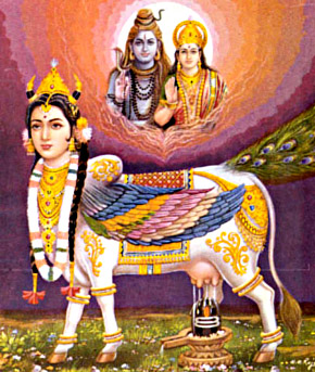 Kamadhenu