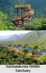 Kambalakonda Wildlife Sanctuary, Visakhapatnam District, Andhra Pradesh