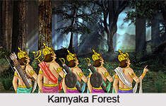 Kamyaka, Indian Forest