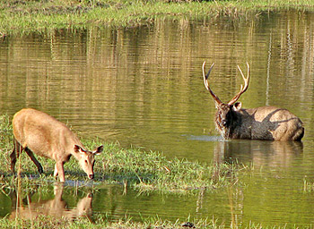 Mandla District, Madhya Pradesh