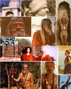 Nath Siddha Kanipa, Nath Siddhas