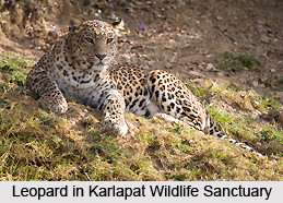 Karlapat Wildlife Sanctuary, Orissa