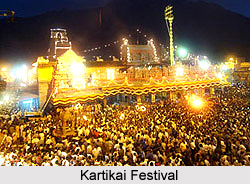 Kartikai Festival  , Indian Festival