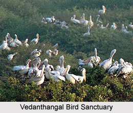 Karunguzhi, Tamil Nadu