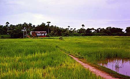 Kaveripakkam, Vellore, Tamil Nadu