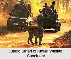 Kawal Wildlife Sanctuary, Hyderabad, Telangana