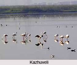 Kazhuveli, Villupuram District, Tamil Nadu