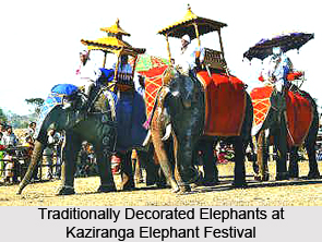 Kaziranga Elephant Festival