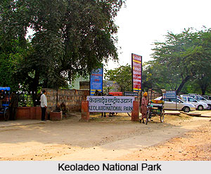 National Parks in Rajasthan
