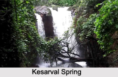 Kesarval Waterfall, Goa
