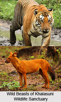 Khalasuni Wildlife Sanctuary, Sambalpur District, Odisha