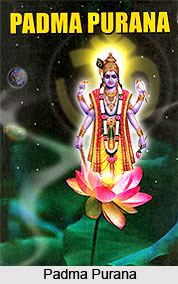 Khandas of Padma Purana